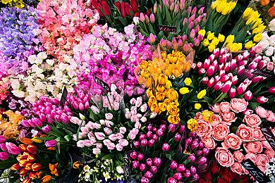 传闻：《霍格沃茨之遗》媒体评分将在2月6日解禁